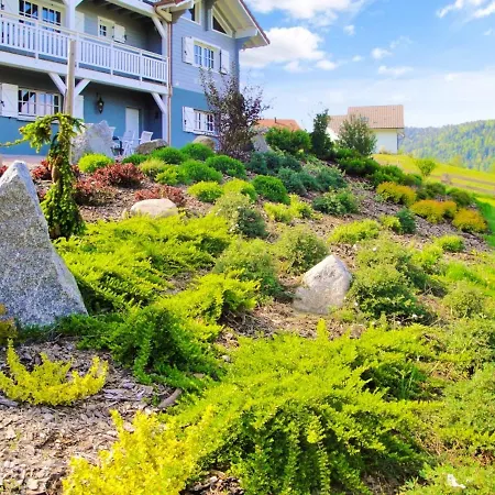 Spacieux A + Sauna Xonrupt-Longemer