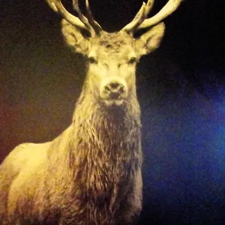 Spacieux A + Sauna Apartmán Xonrupt-Longemer