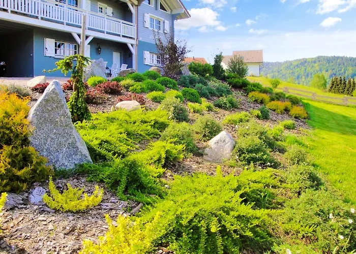 Spacieux A + Sauna Xonrupt-Longemer