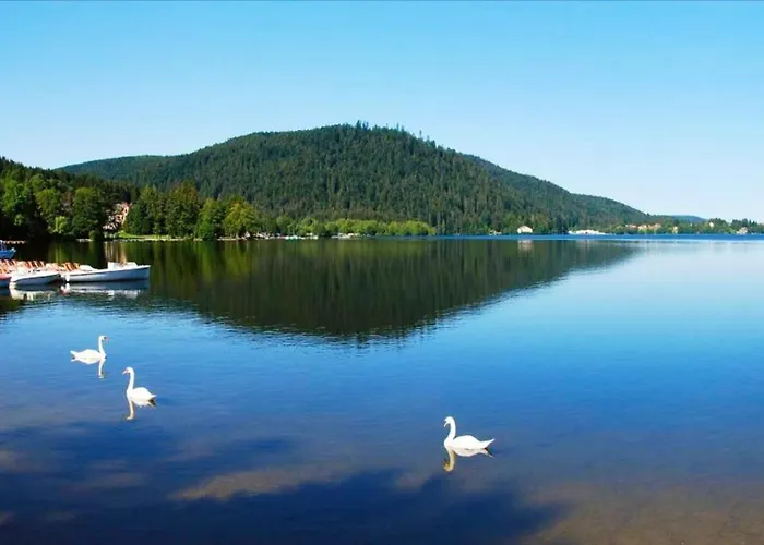 Spacieux A + Sauna * Xonrupt-Longemer