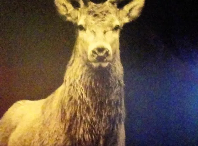 Spacieux A + Sauna Apartmán Xonrupt-Longemer