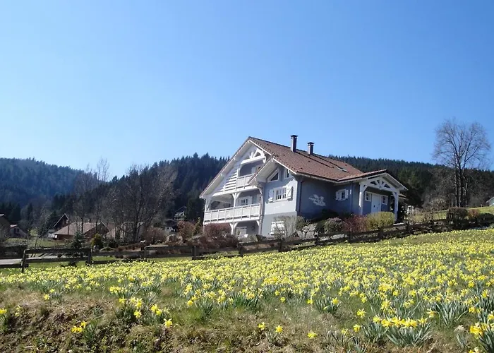 Spacieux A + Sauna Apartmán *